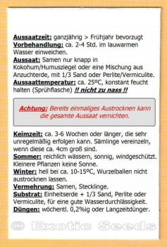 Preview: Solanum caripense, 20+ Samen